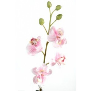 Plante fleurie phalaenopsis semi naturelle - Hauteur: 35 cm