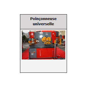 Poiçonneuse hydraulique - Capacités de 66 à 200 Tonnes