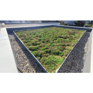 https://www.techni-contact.site/ressources/images/produits/merchandising/prestataire-pour-vegetalisation-de-toiture-et-de-terrasse-79847961-1.jpg - végétalisation de toitures et de terrasses