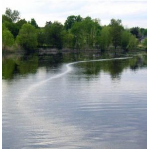 Produit bio pour entretien de l'eau - Rétablit l'équilibre écologique des plans d'eau