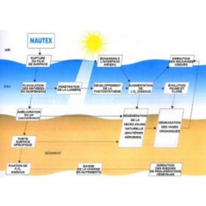 Produit pour purification d'eau - Régulation du pH de l'eau