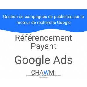 Référencement payant Google Ads - Booste la visibilité des sites internet - Budget publicitaire défini