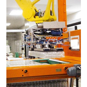https://www.techni-contact.site/ressources/images/produits/merchandising/robot-de-palettisation-palettisation-automatique-pour-vos-palettes-53459314-1.jpg - Système de palettisation automatique rotatif