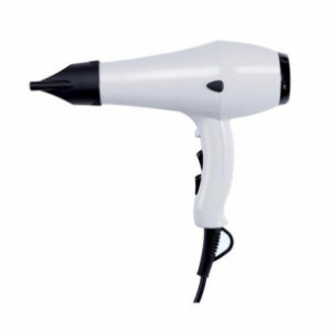 https://www.techni-contact.site/ressources/images/produits/merchandising/seche-cheveux-mural-intensif-1000-w-87942341-1.jpg - ABS blanc ou noir - Puissance 1000 W - Activation par bouton poussoir on/off
