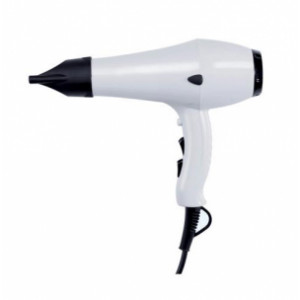 https://www.techni-contact.site/ressources/images/produits/merchandising/seche-cheveux-professionnel-en-abs-1800-w-27621475-1.jpg - ABS blanc ou noir - Puissance : 1800 W - Activation par bouton poussoir on/off
