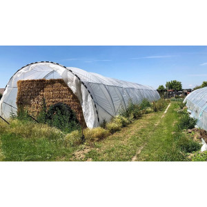 Serre de production agricole - Tunnel haut plein champs