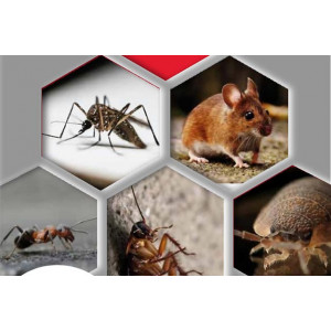 https://www.techni-contact.site/ressources/images/produits/merchandising/service-de-desinsectisation-et-deratisation-professionnel-14643717-1.jpg - Partenariat, techniques et interventions