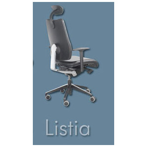 Siège ergonomique de direction - Listia