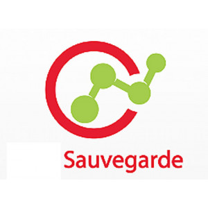 Solution de sauvegarde de données - Volume de données à sauvegarder : de  250 Go à 120 To