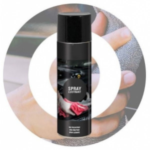 Spray lustrant 500ml - Volume : 500 ml