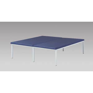 Table de kinésithérapie - Capacité : 130 Kg - Dim : L.200 x l.100 x H.50 cm