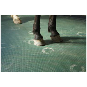 Tapis de boxes pour chevaux - Dimensions (L x l) : 117 x 177 cm