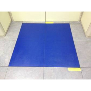 Tapis de décontamination pour salle informatique - Dimensions : 60 x 60 cm