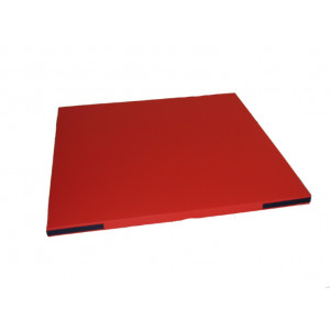 Tapis de gymnastique thermosoudé associatif - Dimensions (Lxlxh): 1m x 1m x 4cm
