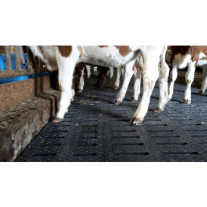 Tapis en caoutchouc pour caillebotis - Caillebotis bovins sur mesure