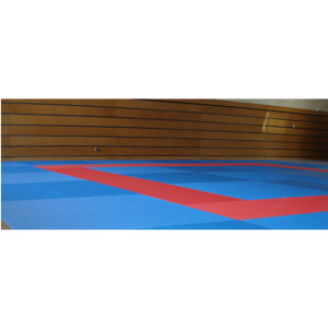 Tatamis de judo - Dimensions 200 X 100 CM - Épaisseur :30-40-50-60 mm -Norme européenne 12503