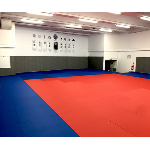 https://www.techni-contact.site/ressources/images/produits/merchandising/tatamis-judo-aikido-karate-12935225-1.jpg - Tatamis pour Arts Martiaux - Agréés par la FFJDA et FFKAMA