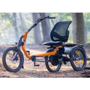 https://www.techni-contact.site/ressources/images/produits/merchandising/tricycles-avec-assistance-electrique-77721152-1.jpg - Pneus avant : 20 pouces x 2,00 – Schwalbe
