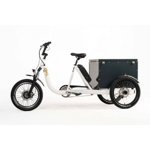 https://www.techni-contact.site/ressources/images/produits/merchandising/triporteur-electrique-pour-maintenance-avec-caisson-200l-39154347-1.jpg - Avec caisson 200L