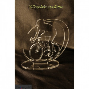 Trophées plexiglas grand modèle - Epaisseur : 8 mm - Hauteur : 200 mm 