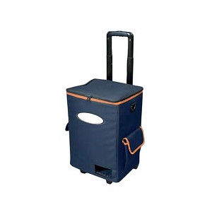 https://www.techni-contact.site/ressources/images/produits/merchandising/valise-multimedia-22655114-1.jpg - Dimensions (l x L x h) : 38x35x46 cm