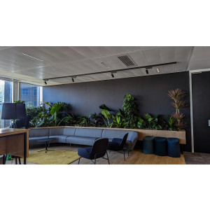 https://www.techni-contact.site/ressources/images/produits/merchandising/vegetalisation-des-espaces-interieurs-13992466-1.jpg - Achat ou location de plantes pour bureaux avec entretien par nos Main 