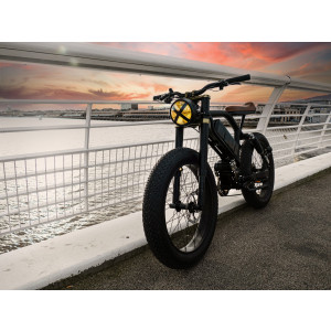 https://www.techni-contact.site/ressources/images/produits/merchandising/velo-cafe-racer-electrique-3500-w-94127583-1.jpg - Moteur : CYCmotor X1 Pro Gen4 – 250N.m