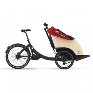 https://www.techni-contact.site/ressources/images/produits/merchandising/velo-cargo-electrique-pour-2-passagers-64254353-1.jpg - Cadre : Aluminium