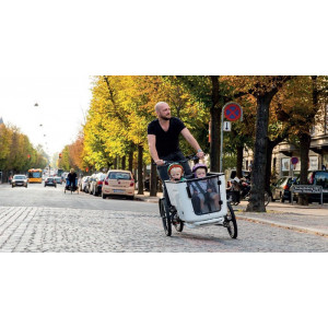 https://www.techni-contact.site/ressources/images/produits/merchandising/velo-electrique-cargo-49664717-1.jpg - Charge bac / Charge selle : 100 kg / 100 kg - Poids total autorisé : 250 kg