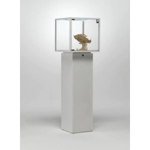 https://www.techni-contact.site/ressources/images/produits/merchandising/vitrine-cloche-avec-meuble-13787763-1.jpg - Vitrine cloche avec meuble