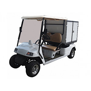 Voiturette de golf frigo - Golfcar 2 places avec compartiment frigorifique 