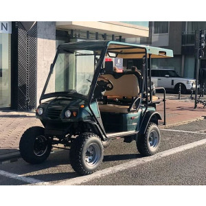 Voiturette électrique 4 places homologuée usage sur route - Poids maxi autorisé : 300 kg, pare-brise en plexi