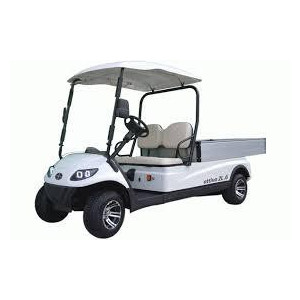 Voiturette golf  - 2 places