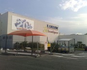 Abri caddie supermarché