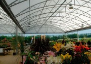 Abri plantes