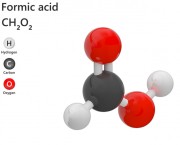 Acide Formique 80% - CAS N° 64-18-6