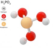 Acide Phosphorique 75% - CAS N° 7664-38-2