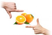 Agence de mise en place solution web personnalisée