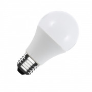 Ampoules LED polyvalents