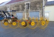 Andaineurs soleil