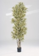 Arbre dracaena reflexa artificiel