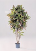 Arbre olivier artficiel