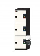 Armoire de sécurité pour produits chimiques L54 cm