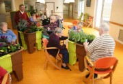 Jardin partagé