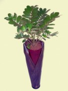 Bac vase pambil
