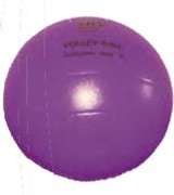 Ballons de volley pour école