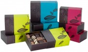 Ballotin de chocolat pour cadeaux d'affaires 