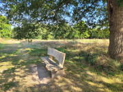 Banc bokage