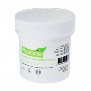 Baume de massage à l'harpagophytum