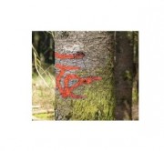 Bombe de marquage forestier